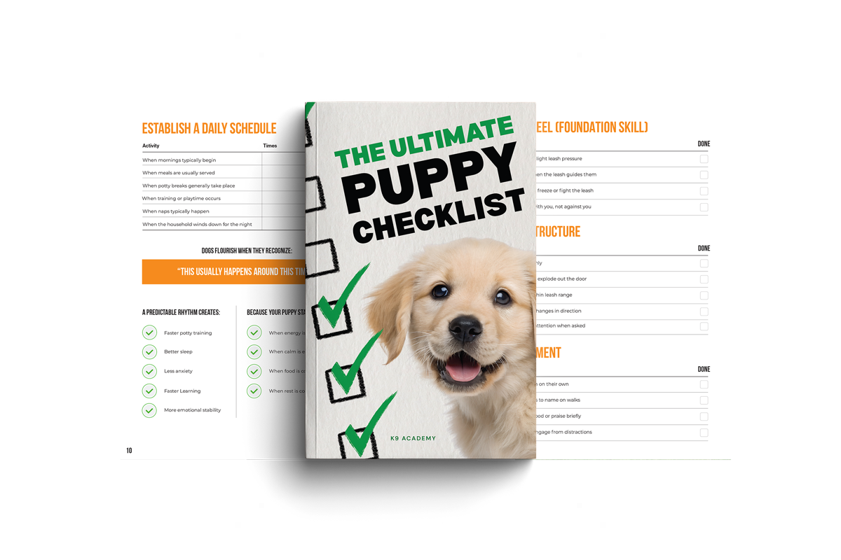 The Ultimate Puppy Checklist