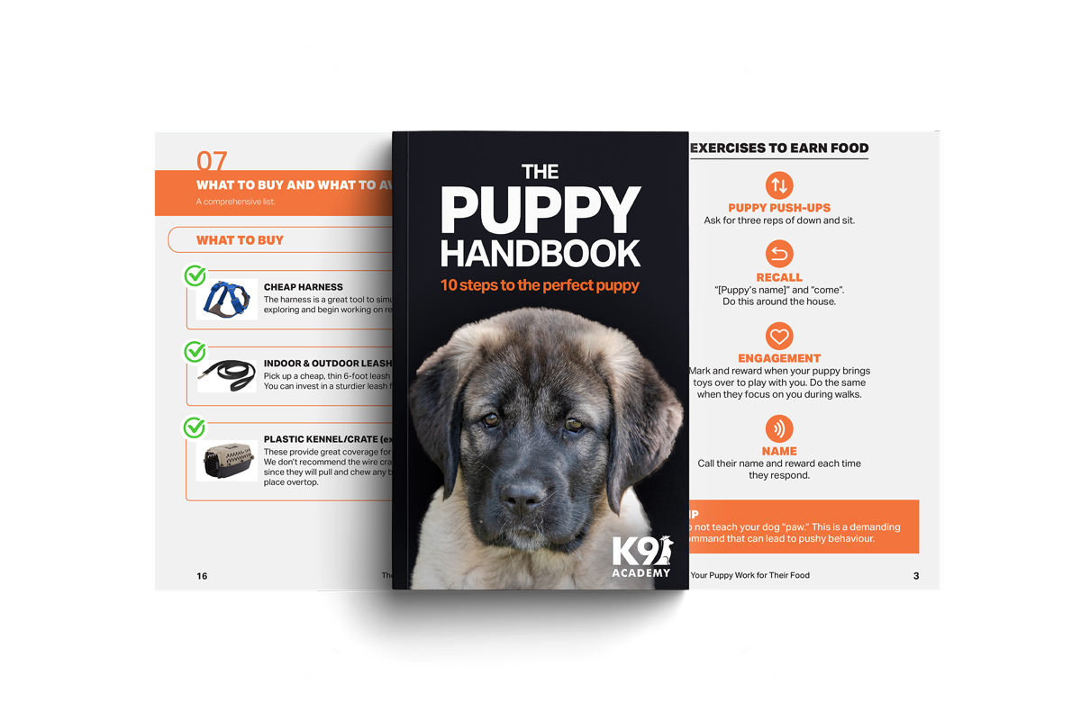The Puppy Handbook