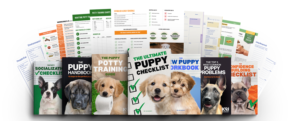 The Ultimate Puppy Training Package — 7 Book Bundle