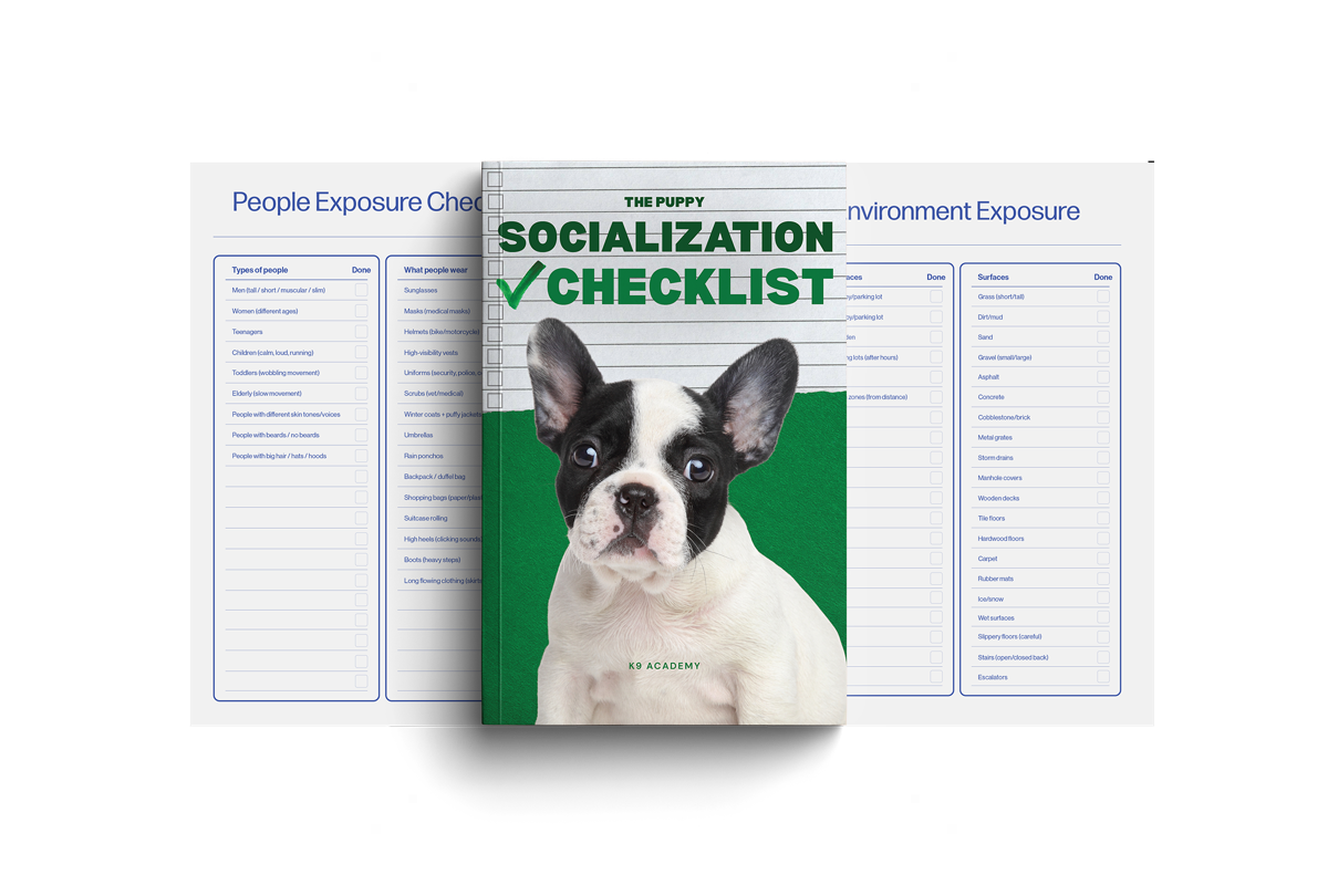 The Socialization Checklist