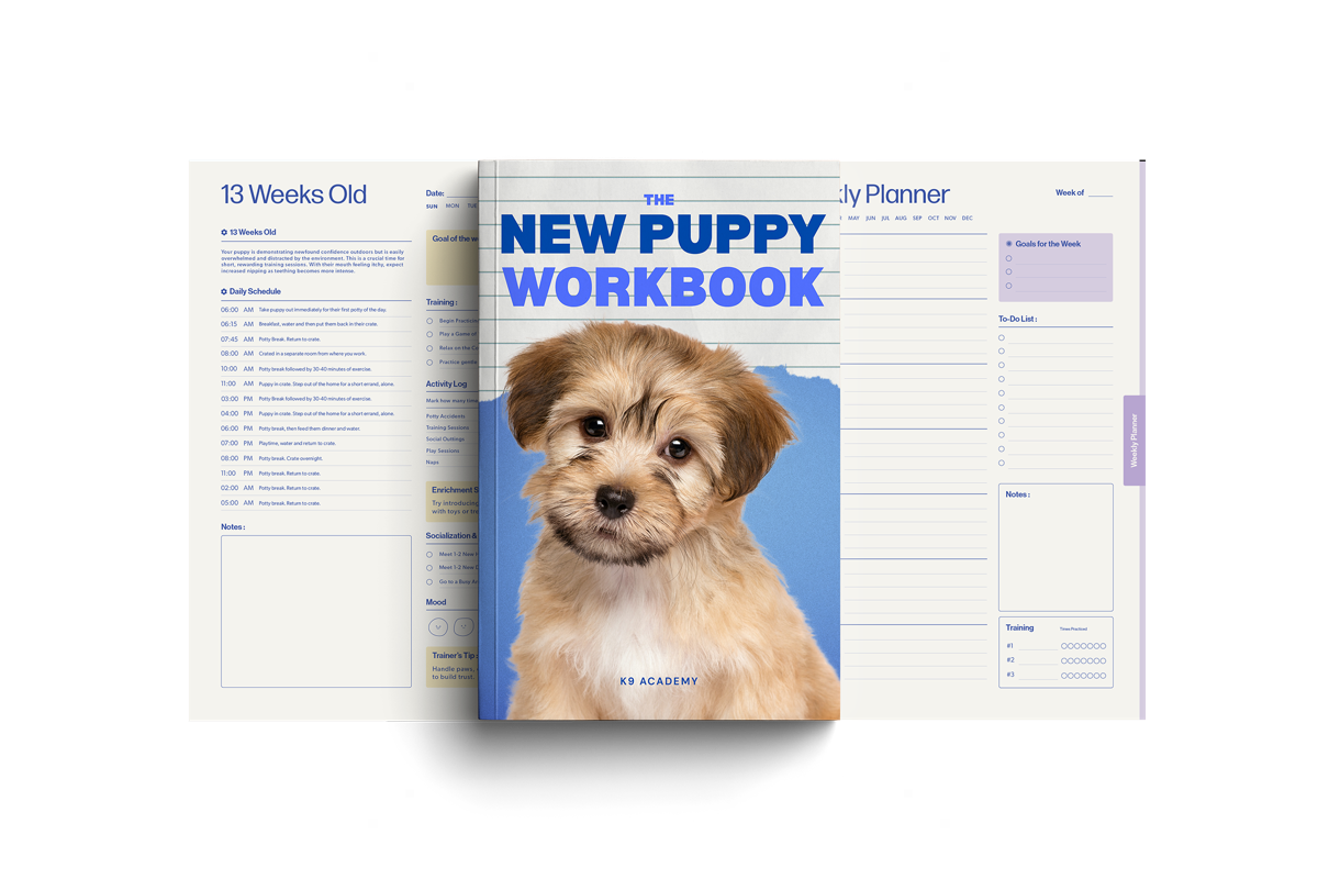 The New Puppy Workbook